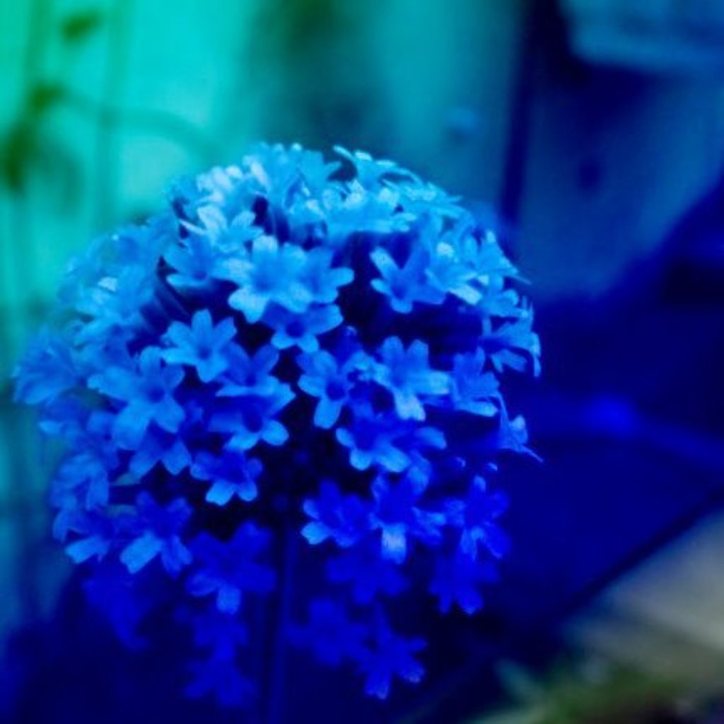 ブログのテストです